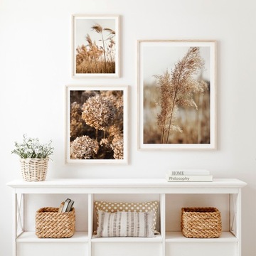 Плакат 50х70 Библейский стих