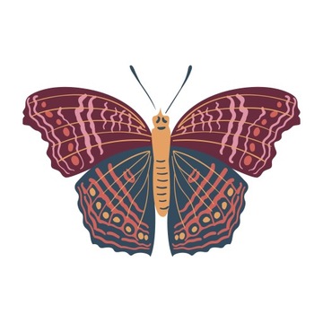 Naprasowanka Motyl Termo Naklejka Aplikacja do 20cm
