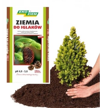 ZIEMIA KWAŚNA PODŁOŻE DO ROŚLIN KWAŚNOLUBNYCH 50l