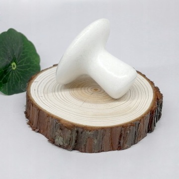 Массажный камень с грибами из розового кварца 5,5x4 см Cr