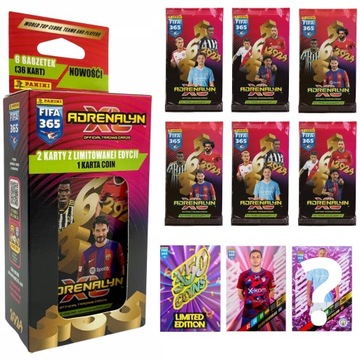 KARTY PIŁKARSKIE DO ALBUMU FIFA 365 2024 RAKÓW CZĘSTOCHOWA LIMITED 10 SZT