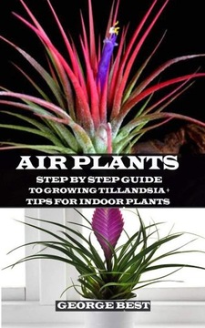 Best, George AIR PLANT: Step by Step Guide to Growing Tillandsia + Tips for