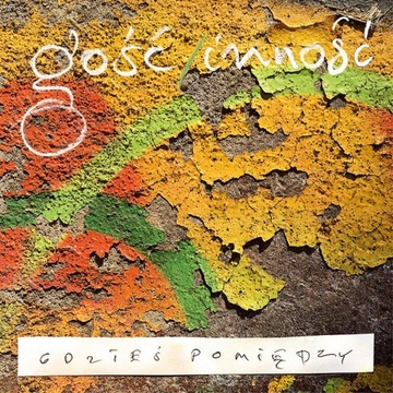 Gość, Inność - Gdzieś Pomiędzy *LP