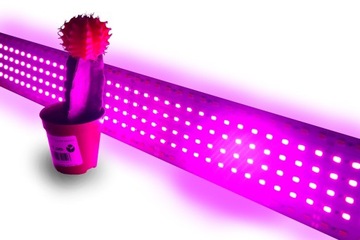 Taśma LED GROW 5630 FullSpectrum do wzrostu roślin