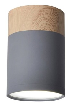 Candellux OPRAWA NATYNKOWA LED SPOT RURA OCZKO LED