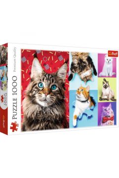 Puzzle 1000 Wesołe koty TREFL
