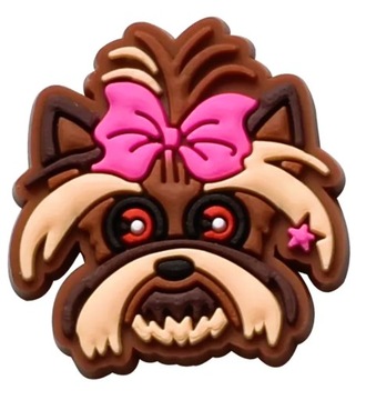 10 булавок/булавок для крокодилов и подобной обуви — для девочек