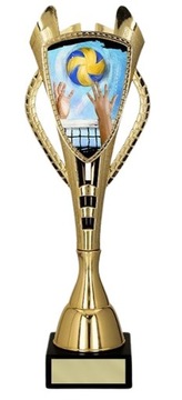 SIATKÓWKA PUCHAR TROFEUM 7243D 33,5 cm + GRAWER
