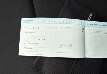 Skoda Karoq Crossover 1.5 TSI ACT 150KM 2018 Skoda Karoq 1.5 Tsi DSG Navi 25.000 km HIT 1.5 Benzyna 150KM, zdjęcie 19