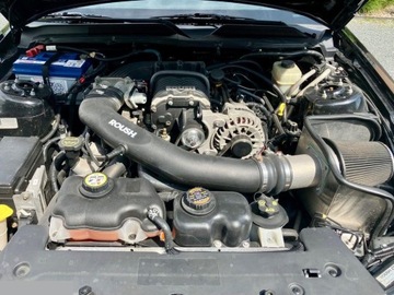 Ford Mustang V 2008 Ford Mustang 4.6 Benzyna 315KM 2008r Tuning, Niski przebieg, F-VAT, zdjęcie 36