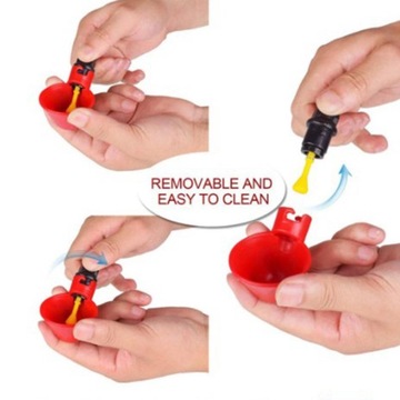 5 . для птиц голубь домашняя птица курица