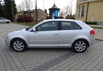 Audi A3 8P Hatchback 3d 2.0 TDI PD 140KM 2007 Audi A3 Audi A3 2.0 TDI Attraction, zdjęcie 2