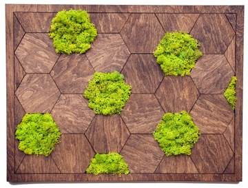 МОСС ХРОБОТЕК ПРЕМИУМ КАРТИННЫЕ ПАНЕЛИ 44x33 подарок