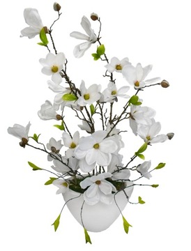 MAGNOLIA W CERAMICZNEJ DONICZCE BIAŁE KWIATY 76cm