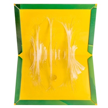 30 мышеловок для крыс с сильным клеем, сильным ароматом лапы LEP