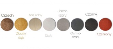 Деревянная 3D-карта мира с мхом М