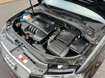 Audi A3 8P Hatchback 3d 1.6 102KM 2009 Audi a3 AUTOMAT KLIMATYZACJA PARKTRONIC EL.SZYBY EL.LUSTERKA GWARANCJA SER, zdjęcie 19