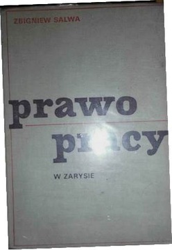 Prawo pracy w zarysie - Zbigniew Salwa