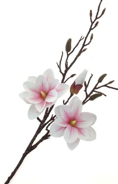 MAGNOLIA GUMOWANA BIAŁO RÓŻOWA GAŁĄZKA 105 cm jak NATURALNA PREMIUM XXL