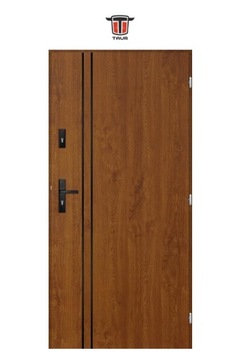 ПОЛЬСКИЕ НАРУЖНЫЕ ДВЕРИ INOXSTEM1L ЧЕРНЫЕ 55MM 100