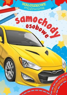 SKRZAT MALUSZKOWE MALOWANIE SAMOCHODY OSOBOWE