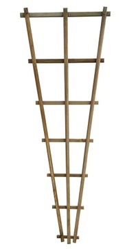 Podpora do roślin pnących róży drabinka 60x180 cm