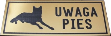 Tabliczka ostrzegawcza ZŁY PIES grawerowana złota UWAGA GROŹNY PIES