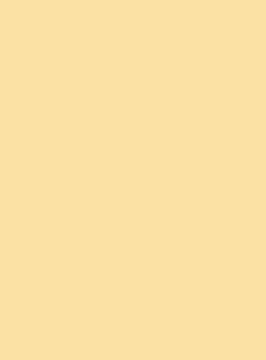 BRYSTOL A3 29,7x42 185G CANSON IRIS KREMOWY