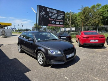 Audi A3 8P Hatchback 3d 1.6 102KM 2009 Audi A3 3-drzwiowe 1.6 MPI 102 KM, Daylight LED,