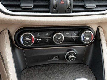 Alfa Romeo Stelvio SUV Facelifting 2.0 Turbo 280KM 2021 Alfa Romeo Stelvio WD1861S#2.0 Turbo 6C Villa, zdjęcie 19