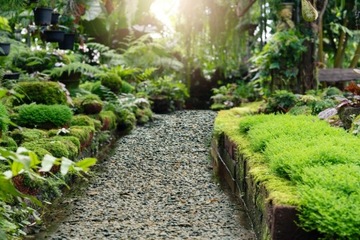 Натуральный Зеленый Гравий Гравий для Сада 20 кг Зеленый