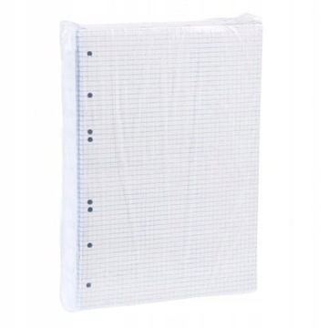 Вкладыш для папки-сетки А4, белый, 50к, Gimar