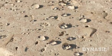 ДИНАСИЛ ВЕТ 30л