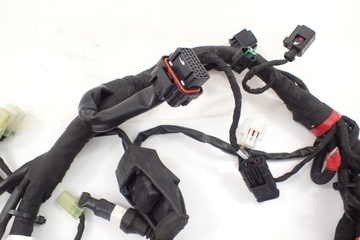 Ducati Multistrada 950 18- Монтажный жгут