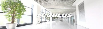 Декоративный радиатор REGULUS DECOR PRO 140х50см, центральная подача снизу