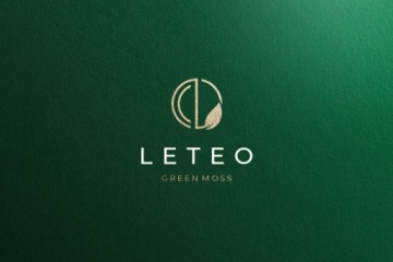 лес в банке мох бонсай хроботек растения из мха уникальный подарок премиум класса