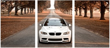3x OBRAZ NA ŚCIANĘ SAMOCHÓD BMW BIAŁE 50x70