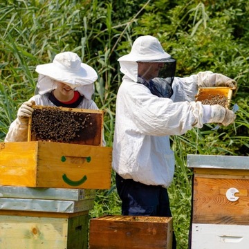 Kurtka Pszczelarska z Zamkiem, Ochrona Pszczelarzy