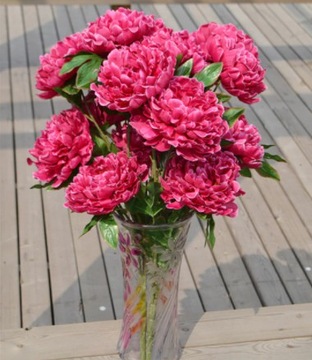 PIWONIA RÓŻOWA BUKIET 8 KWIATÓW 16 CM GŁOWA