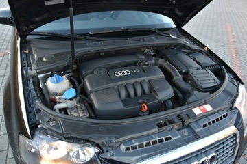Audi A3 8P Hatchback 3d 1.6 102KM 2008 Audi A3 1.6MPi 102KM Manual 2008r. lift Climatroni, zdjęcie 24
