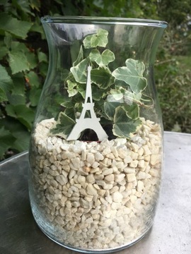 МИНИ ПИКА ТОПЕР ФОРЕСТ В БАНКЕ 10СМ 10ШТ ПИК БАНКА