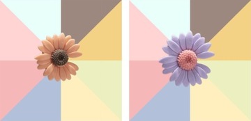 ПОДВЕСКИ-УКРАШЕНИЯ для обуви, шнурки_стокротка