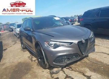 Alfa Romeo Stelvio 2020 Alfa Romeo Stelvio Sport 2020 2.0l 2.0 Benzyna 280KM