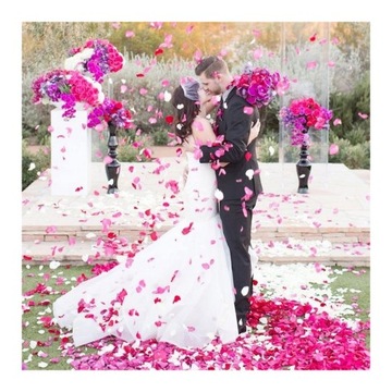 КОНФЕТТИ ПУСК ИЗ ЛЕПЕСТКОВ РОЗЫ ДЛЯ СВАДЬБЫ 80 м РОЗОВЫЙ