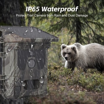 FOTOPUŁAPKA KAMERA IR LEŚNA 50MP 4K FHD NOKTOWIZYJNA Z PANELEM SŁONECZNYM