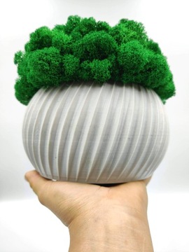 Вазон с мхом хроботек, 23 см, мох хроботек в сером горшке, 3D печать