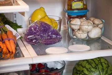 Чехол на грудь Lansinoh универсальный