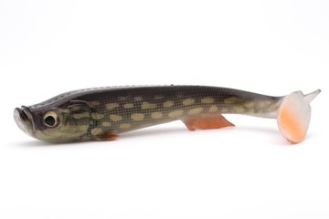 Guma Quantum 22cm. Tarp Shad Real Pike
