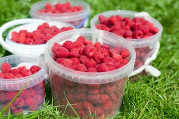 ПЛАСТИКОВОЕ ВЕДРО С КРЫШКОЙ 30 Л ЕД.