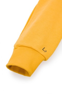 Bluza Męska Żółta z Kapturem Paxton Lancerto XL